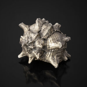 BUCCELLATI <br> Coquillage