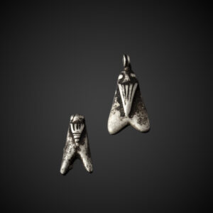 Two Flies